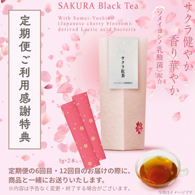 🌸 感謝を込めて、ささやかな贈り物を。 🌸