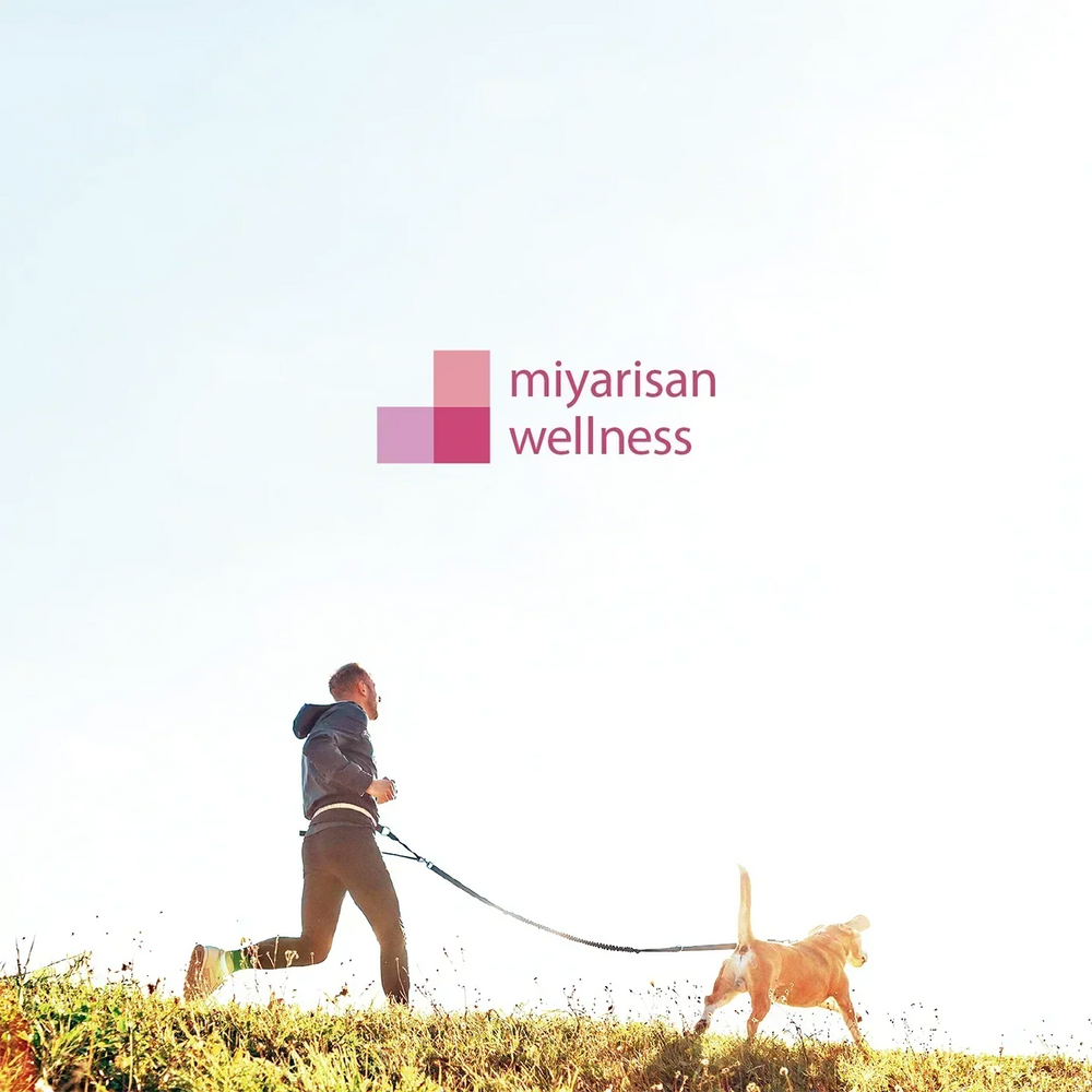 miyarisan wellnessって何？