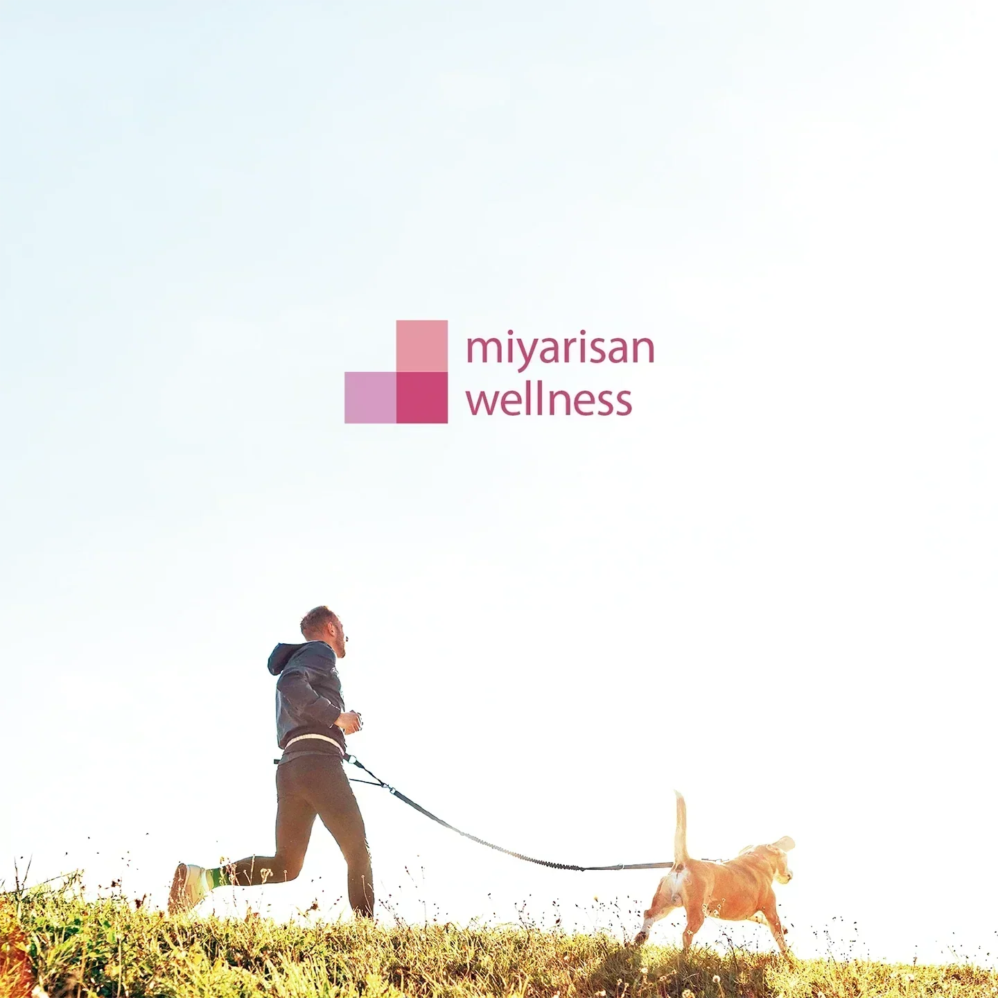 miyarisan wellnessって何？