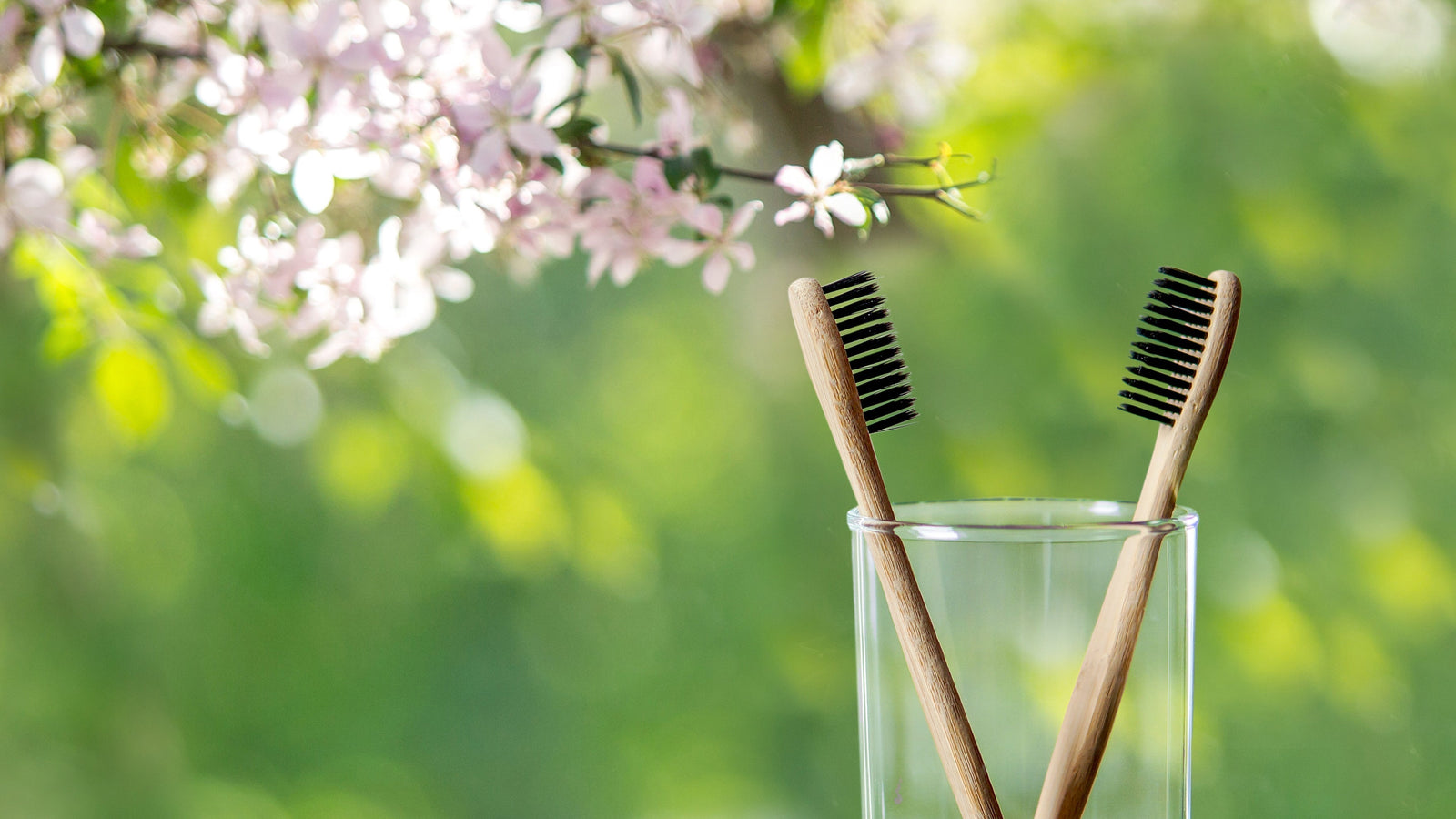 米国オーラルケア市場の最前線＃１