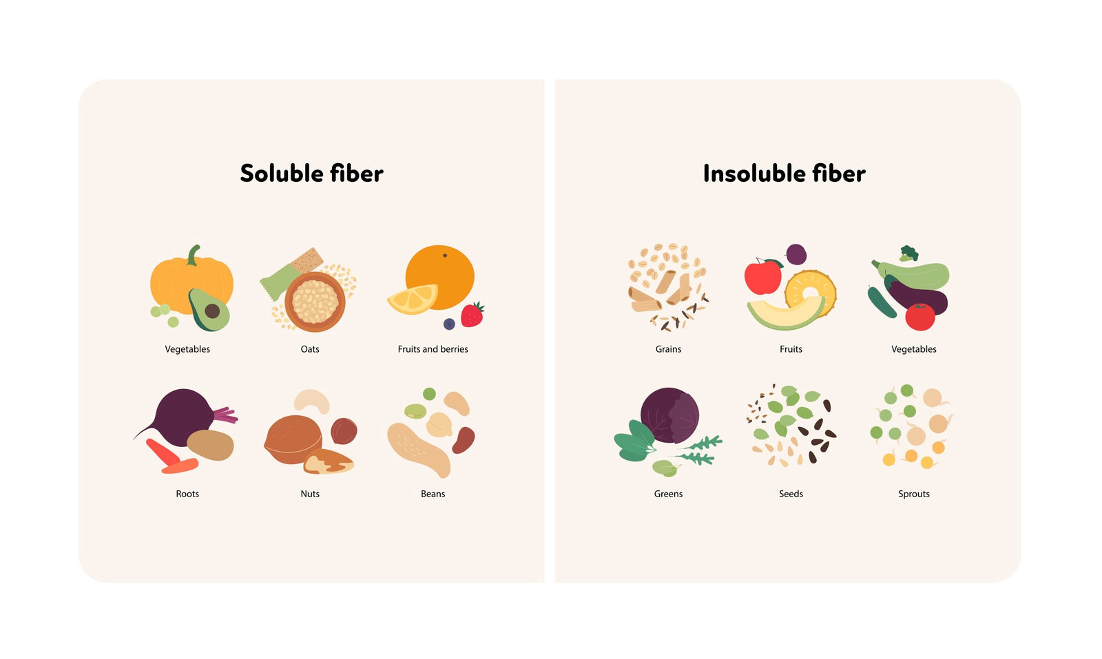 「食物繊維の2つのタイプ」とは？